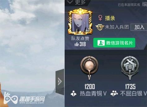 和平精英引擎直装【鹤童】发布:稳定无卡顿,观透与自瞄功能一应俱全